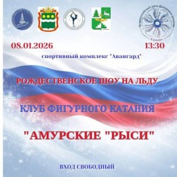 Рождественское&nbsp;шоу&nbsp;на&nbsp;льду&nbsp;от&nbsp;клуба&nbsp;&laquo;Амурские&nbsp;Рыси&raquo;