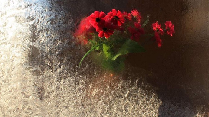 Народные приметы на 8 ноября: что можно и нельзя делать Народные приметы на 8 ноября: что можно и нельзя делать