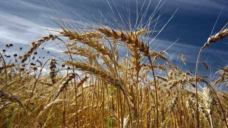 Народные приметы на 19 апреля: что можно и нельзя делать