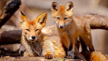 Народные приметы на 27 апреля: что можно и нельзя делать