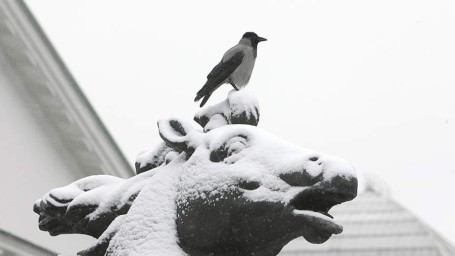 Народные приметы на 22 февраля: что можно и нельзя делать