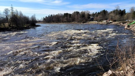 Народные приметы на 24 апреля: что можно и нельзя делать