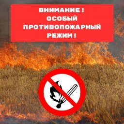 ВНИМАНИЕ: Мы напоминаем: особый противопожарный режим действует в 8 районах области