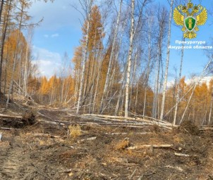 Возбуждено уголовное дело о незаконной рубке лесных насаждений