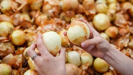 Народные приметы на 17 сентября: что можно и нельзя делать
