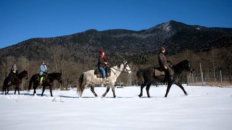 11 января &mdash; День заповедников и национальных парков России: история, традиции, поздравления
