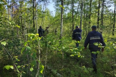 Нашли мертвым в лесу: завершены поиски мужчина, который пропал по пути из Тынды в Благовещенск