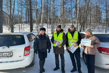 В Тынды прошла оперативно профилактическая операция «Автокресло -детям».