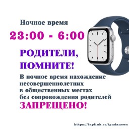 В Амурской области действует комендантский час для детей и подростков