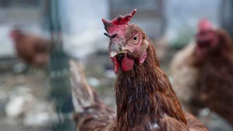 Народные приметы на 27 января: что можно и нельзя делать