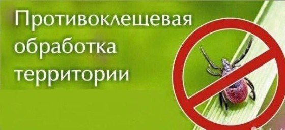 Важная информация для тех, кто любит гулять в Городском парке «Багульник»!