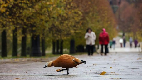 Народные приметы на 9 ноября: что можно и нельзя делать