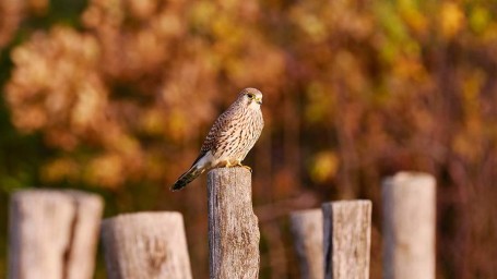 Народные приметы на 27 ноября: что можно и нельзя делать