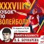 XXXVIII Кубок по волейболу памяти машиниста В. Б. Бочкарева