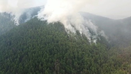 На севере Приамурья действует 64 природных пожара