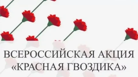 В Приамурье стартовала Всероссийская благотворительная акция «Красная гвоздика»