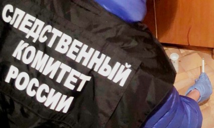 Житель Тындинского муниципального округа предстанет перед судом за причинение смерти своей знакомой