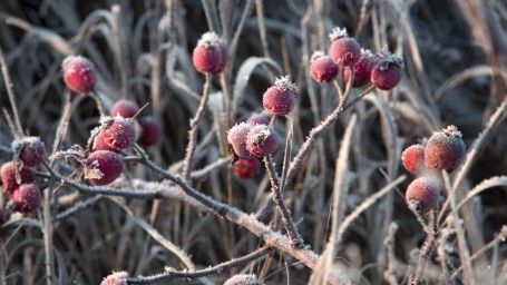 Таинственный праздник Параскевы Пятницы 28 октября: история и традиции