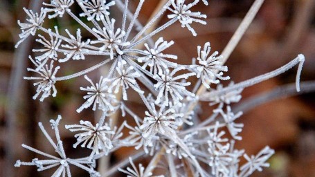 Народные приметы на 18 ноября: что можно и нельзя делать