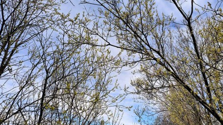 Народные приметы на 28 марта: что можно и нельзя делать