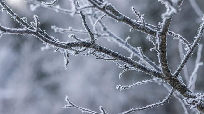 Народные приметы на 2 января: что можно и нельзя делать