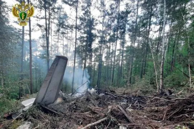 Технических неисправностей не выявили у самолёта, разбившегося в Приамурье летом
