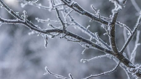 Народные приметы на 2 января: что можно и нельзя делать