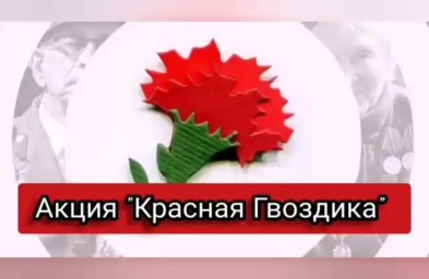 Стартовала всероссийская благотворительная акция помощи ветеранам "Красная гвоздика"