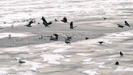 Народные приметы на 1 марта: что можно и нельзя делать