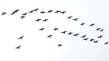 Особый народный праздник 24 марта &mdash; Ефимов день: история, традиции, приметы