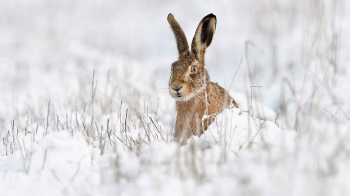Народные приметы на 26 ноября: что можно и нельзя делать Народные приметы на 26 ноября: что можно и нельзя делать
