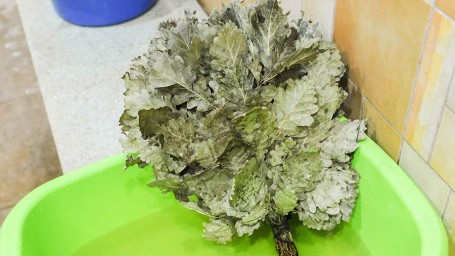 Особый праздник 30 ноября — Григорий Зимоуказатель: история, традиции, приметы