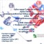Кубок города по хоккею "Кубок Победы"