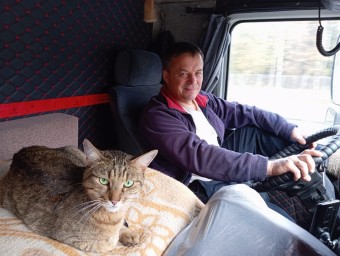 Кот Федос и необычный кросс