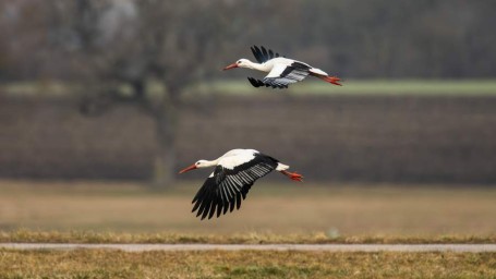 Народные приметы на 29 апреля: что можно и нельзя делать