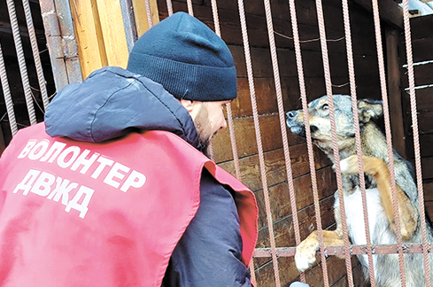 Миска, полная добра Миска, полная добра