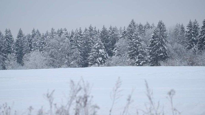 Народные приметы на 11 декабря: что можно и нельзя делать Народные приметы на 11 декабря: что можно и нельзя делать