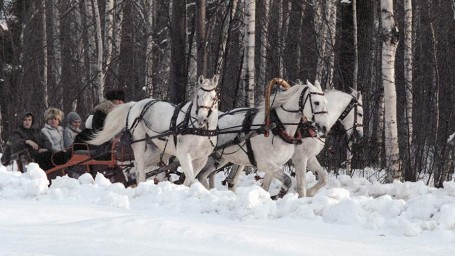 Народные приметы на 9 января: что можно и нельзя делать