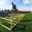 Открываем двери в мир северных видов спорта!