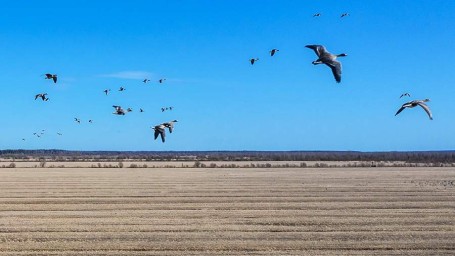 Народные приметы на 12 апреля: что можно и нельзя делать