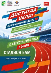 Традиционный благотворительный забег &laquo;Достигая цели&raquo;.