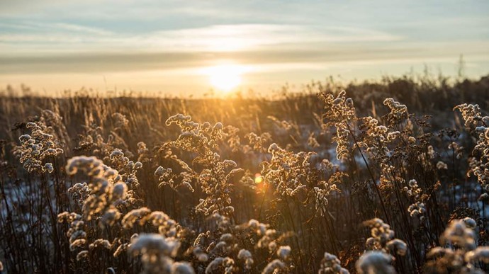 Особый праздник 23 января — Григорий Летоуказатель: история, традиции, приметы Особый праздник 23 января — Григорий Летоуказатель: история, традиции, приметы
