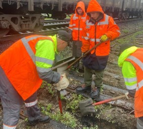 ​Производственная практика в рамках ФП Профессионалитет нацпроекта "Молодёжь и дети "