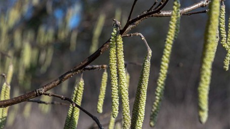 Народные приметы на 31 марта: что можно и нельзя делать