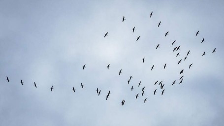 Особый народный праздник 17 апреля &mdash; Иосиф Песнопевец: история, традиции, приметы