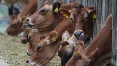 Народные приметы на 24 февраля: что можно и нельзя делать