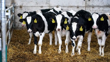 Народные приметы на 18 февраля: что можно и нельзя делать