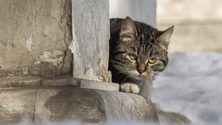 Народные приметы на 2 февраля: что можно и нельзя делать