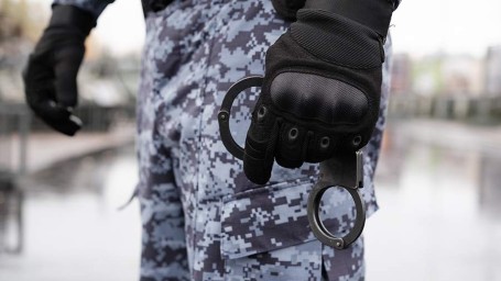 15 ноября — День подразделений по борьбе с организованной преступностью: история