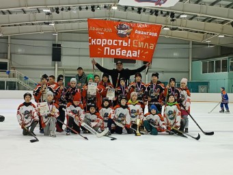 Турнир «Kids Hockey» по хоккею с шайбой среди детей 2016-2017г.р.